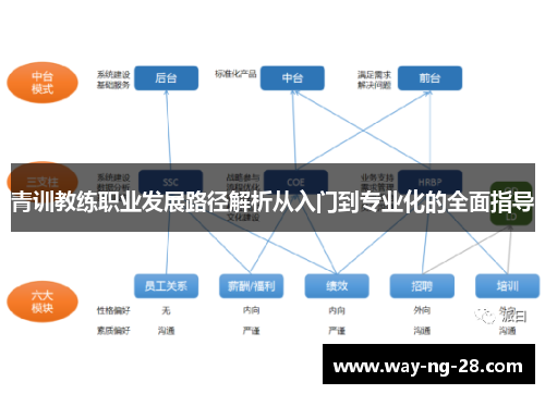 青训教练职业发展路径解析从入门到专业化的全面指导